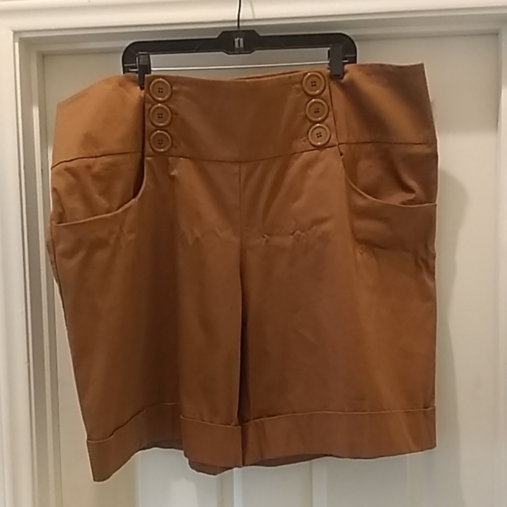 Plus Size Shorts 26W